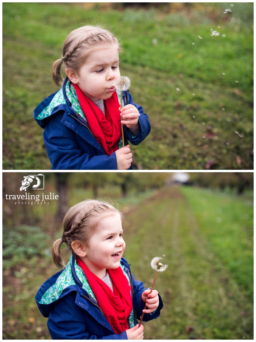 Adorable girl blowing dandelions