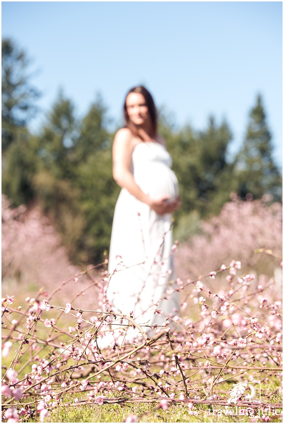 peach blossom maternity photo session